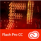 Flash Professional CC