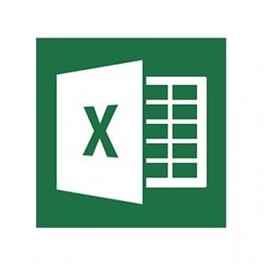 Microsoft Excel 2013 