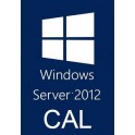 Microsoft Windows Server CAL 2012 