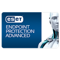 ESET Endpoint Protection Advanced Для пільгових організацій та державних установ